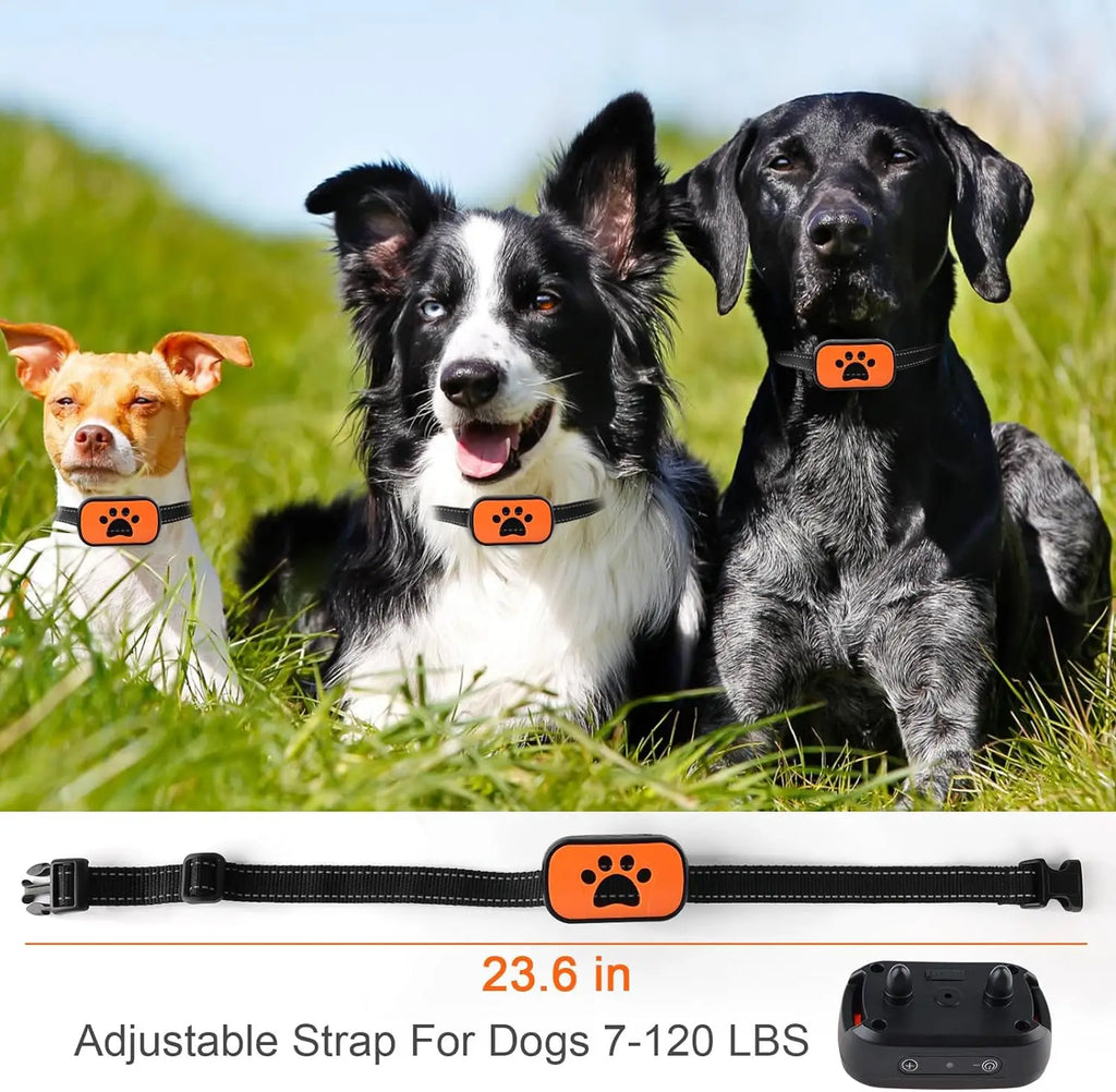PawVibe - Gentle Vibration Dog Training Collar