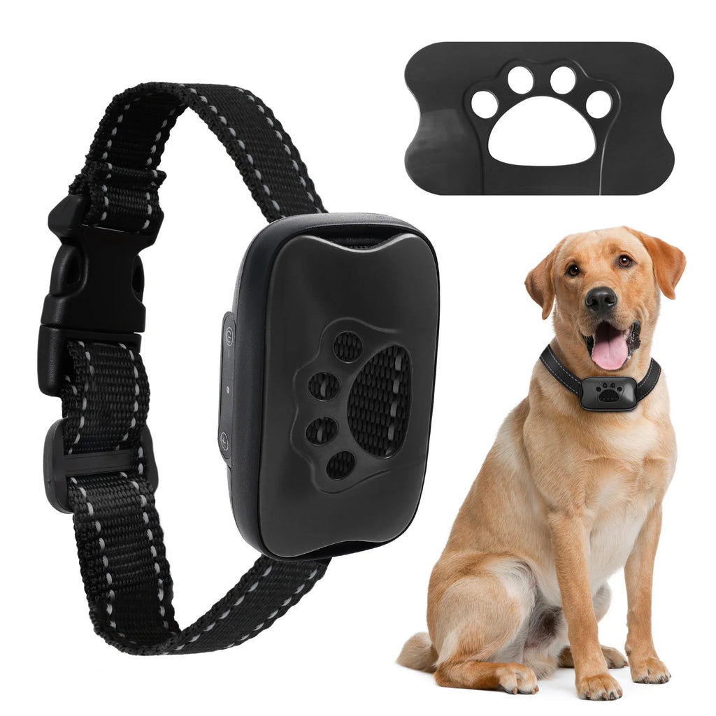 PawVibe - Gentle Vibration Dog Training Collar