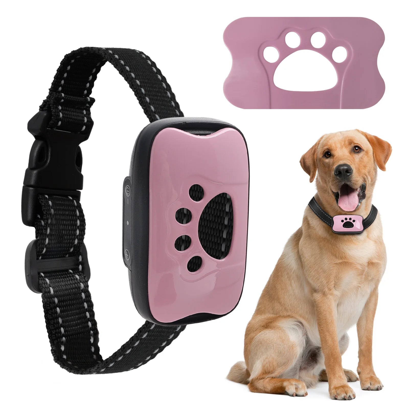 PawVibe - Gentle Vibration Dog Training Collar