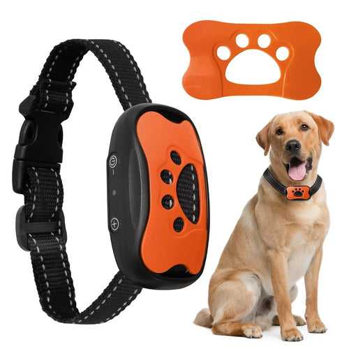 PawVibe - Gentle Vibration Dog Training Collar