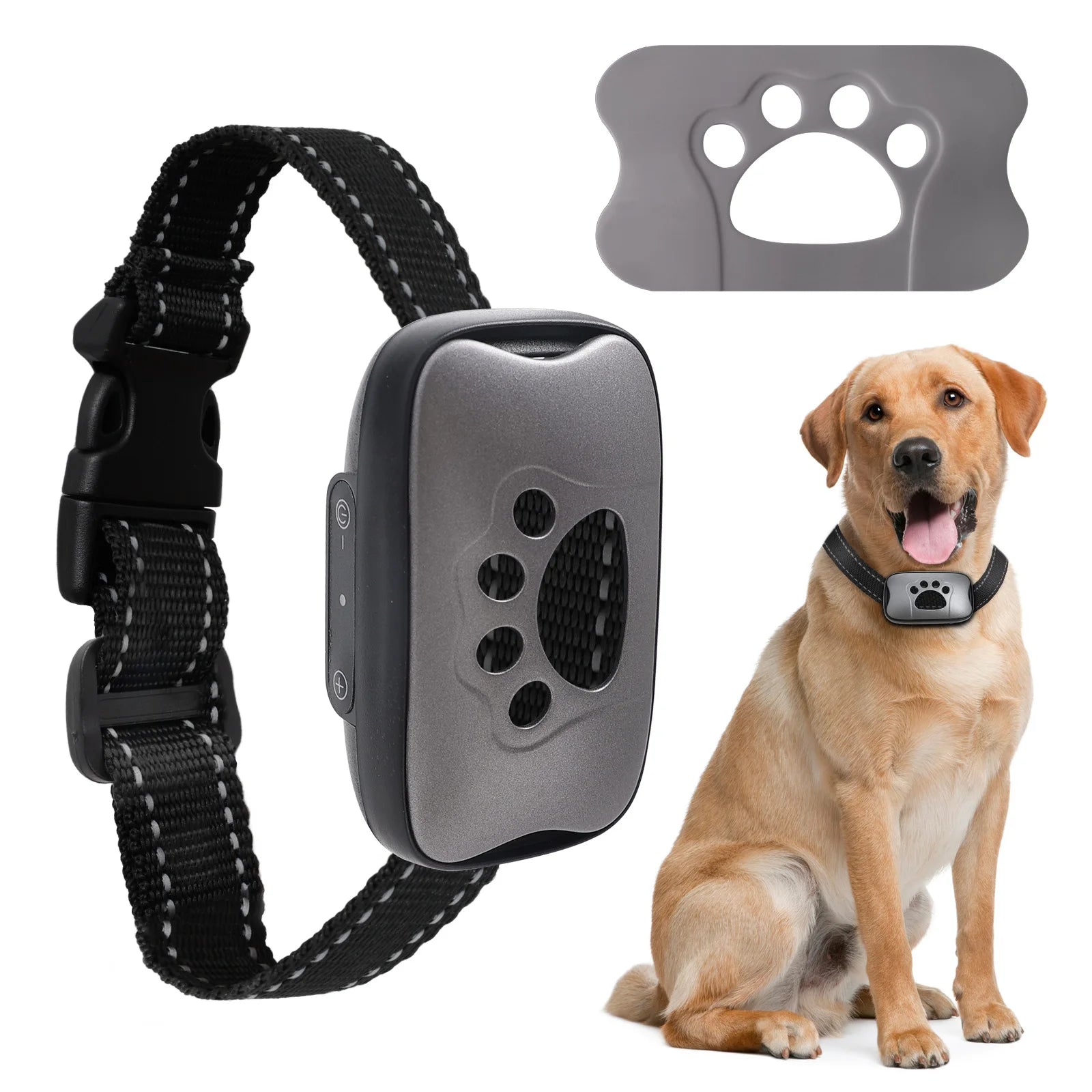 PawVibe - Gentle Vibration Dog Training Collar