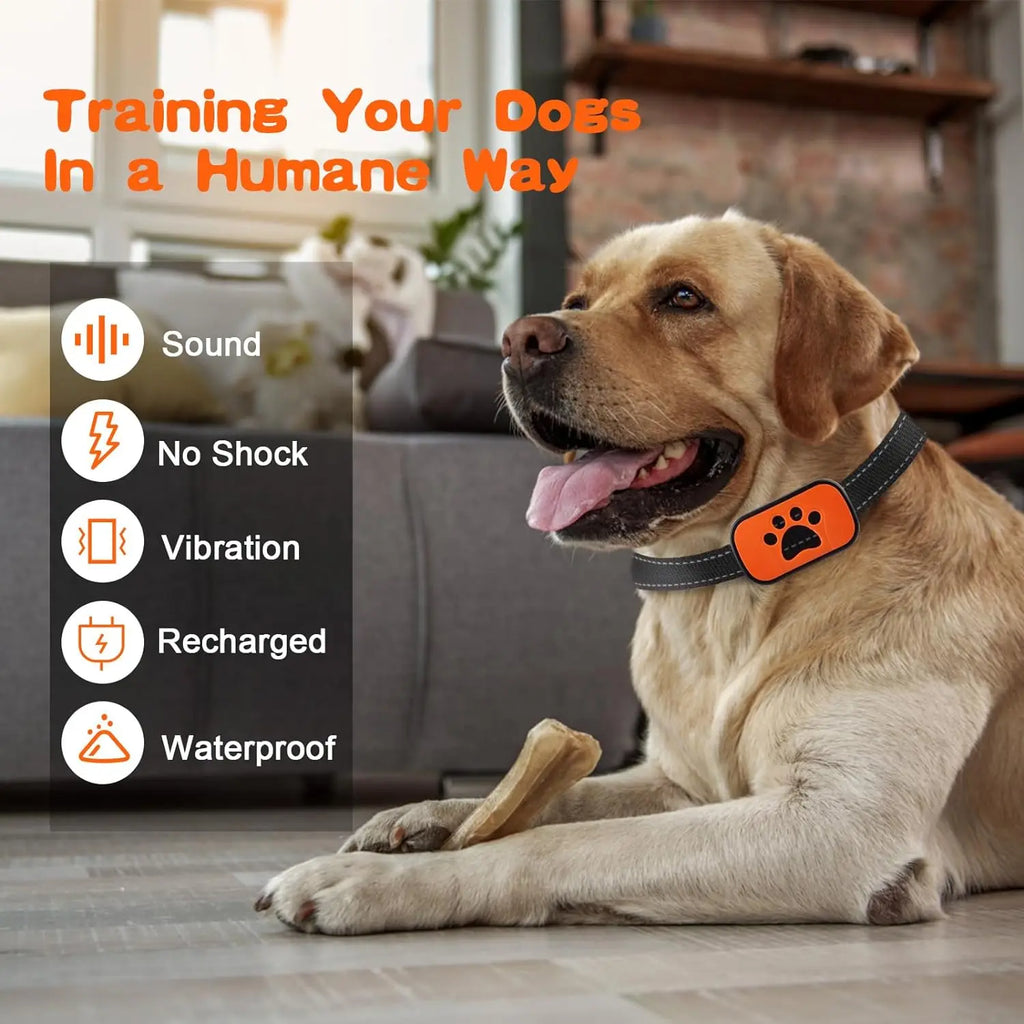 PawVibe - Gentle Vibration Dog Training Collar